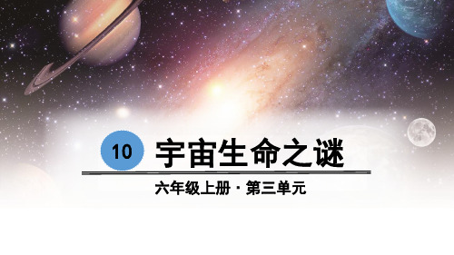 部编版六年级语文上册第10课《宇宙生命之谜》精品教学课件