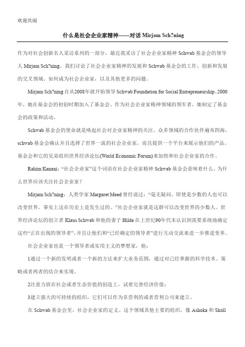 什么是社会企业家精神