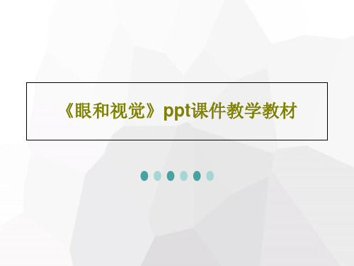 《眼和视觉》ppt课件教学教材共30页文档