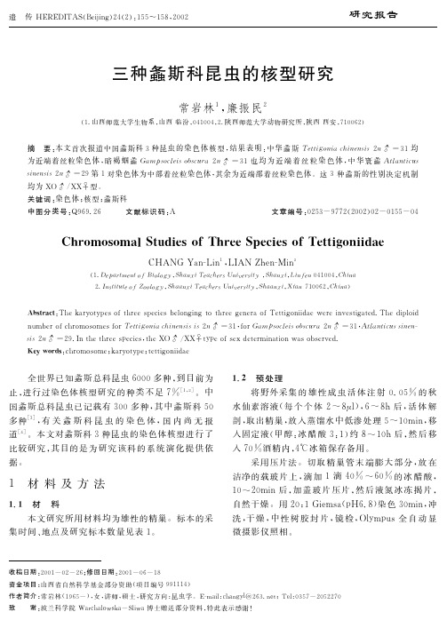 三种螽斯科昆虫的核型研究 Chromosomal Studies of Three Species of Tettigoniidae
