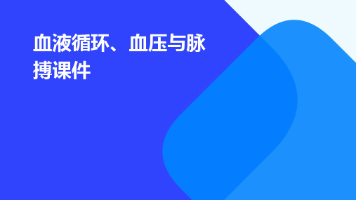 血液循环、血压与脉搏课件