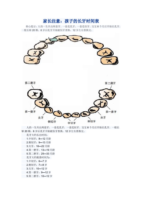 幼儿长牙时间图表