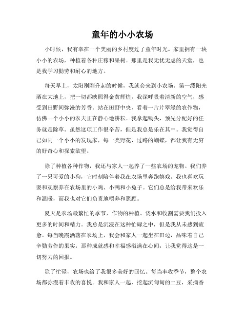 童年的小小农场