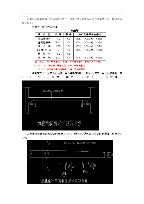 梁的标注内容