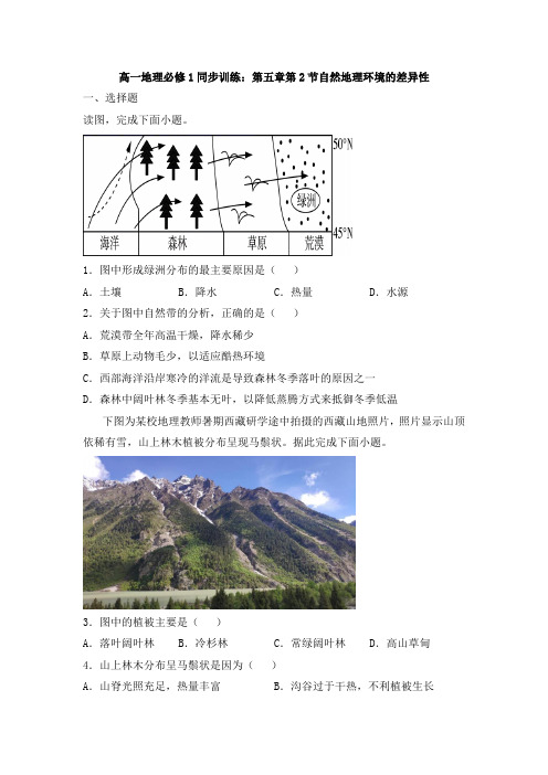 高一地理必修1同步训练：第五章第2节自然地理环境的差异性