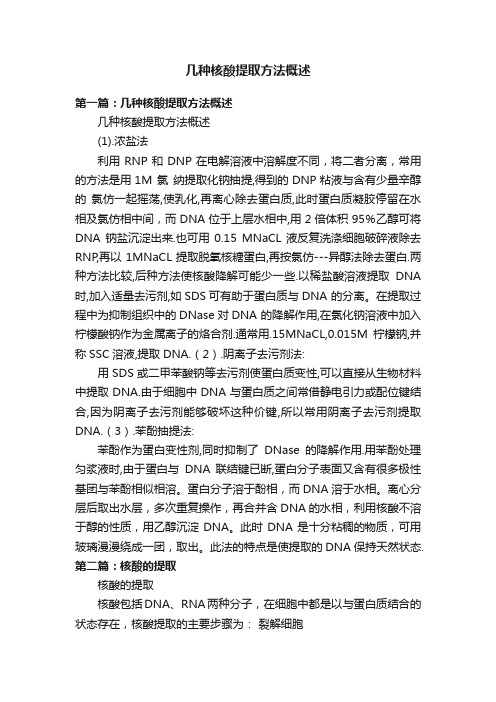 几种核酸提取方法概述