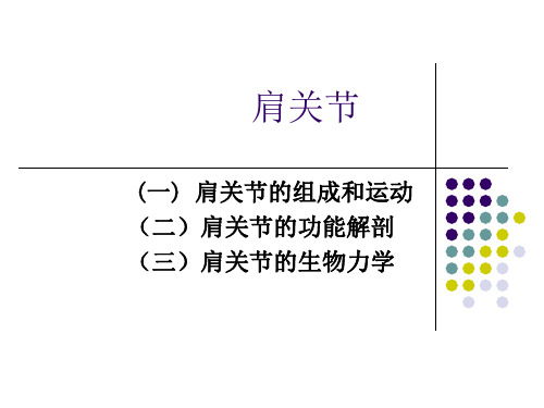 肩关节 PPT课件