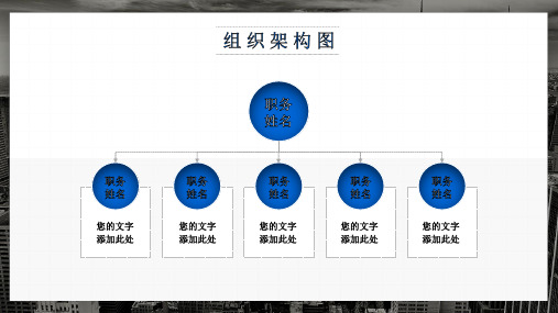 国有企业组织架构设置ppt