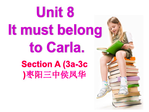 英语九年级人教版unit 8 Section A (3a-3c)课件(29张)