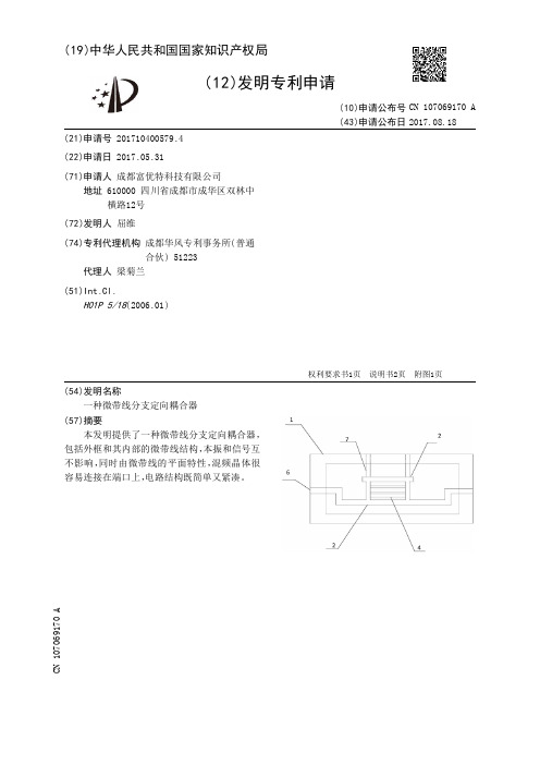 一种微带线分支定向耦合器[发明专利]