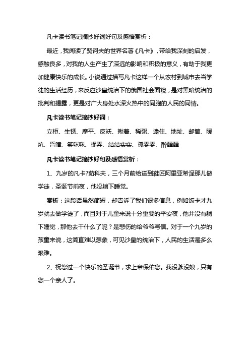 凡卡读书笔记摘抄好词好句及感悟赏析