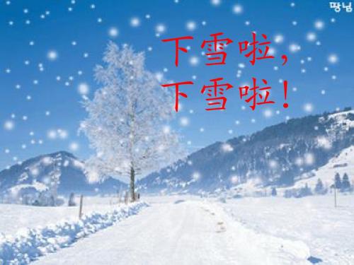 雪地里的小画家(蕾)