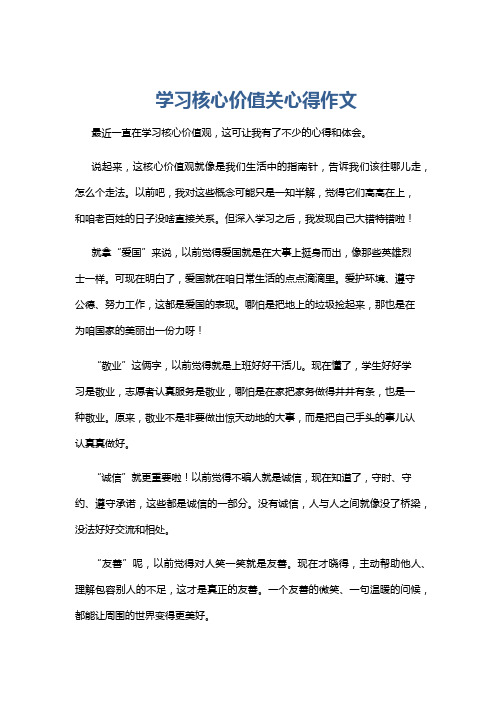 学习核心价值关心得作文