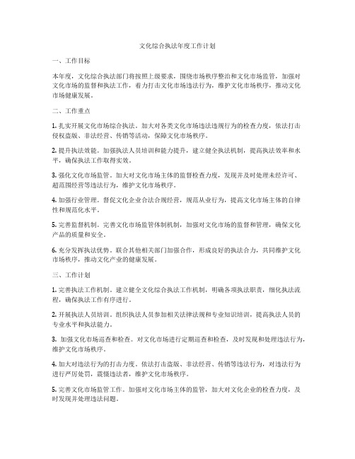 文化综合执法年度工作计划