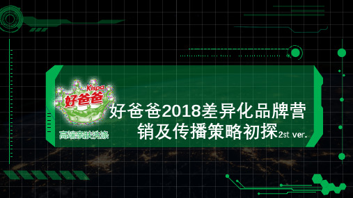 高端亲肤洗涤用品品牌好爸爸年度差异化品牌传播及营销推广方案