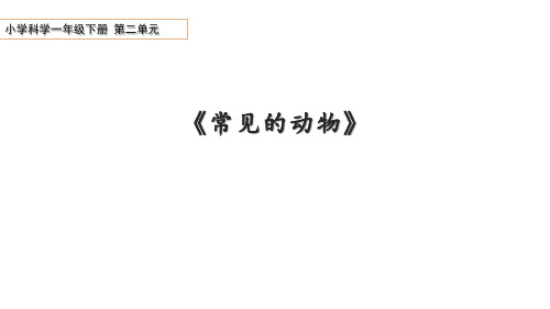 青岛版科学一年级下册第2单元4常见的动物教学课件