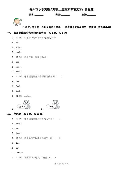 锦州市小学英语六年级上册期末专项复习：音标题