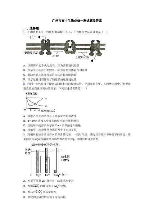 广州市高中生物必修一测试题及答案