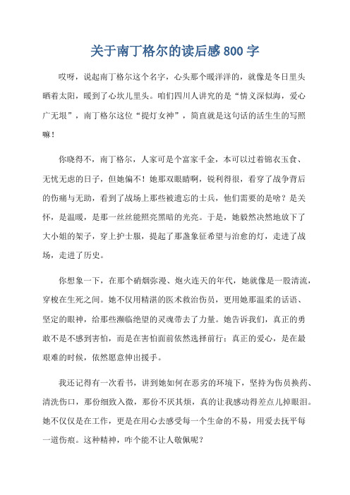 关于南丁格尔的读后感800字