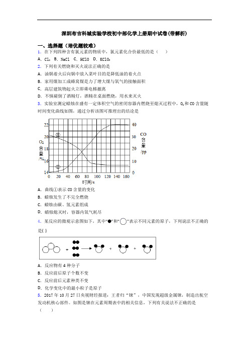 深圳布吉科城实验学校初中部初三化学上册期中试卷(带解析)