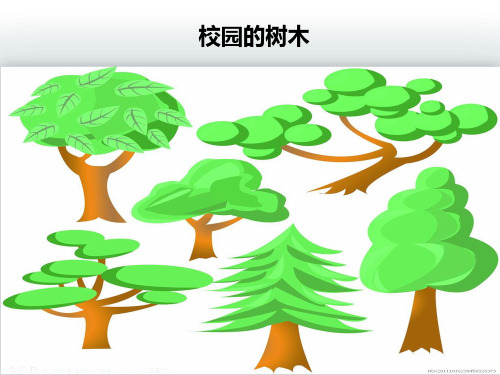 部编版三年级上册科学课件-校园的树木教科版ppt上课用