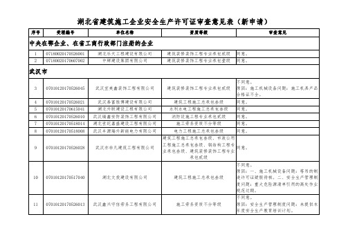 湖北省建筑施工企业安全生产许可证审查意见表(新申请)