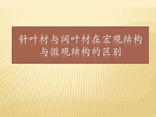 针叶材与阔叶材在宏观与微观结构的区别