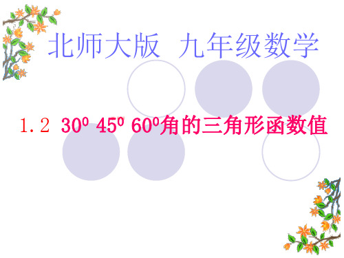 新北师大版九年级数学下册第一章《30度,45度,60度角的三角形函数值》公开课课件