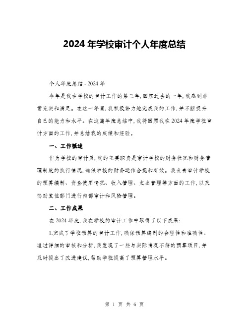 2024年学校审计个人年度总结(二篇)