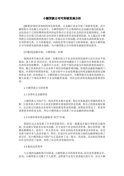 小额贷款公司可持续发展分析