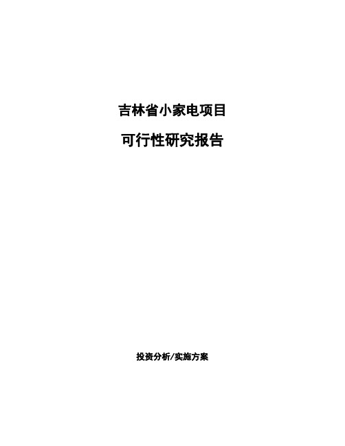 吉林省小家电项目可行性研究报告