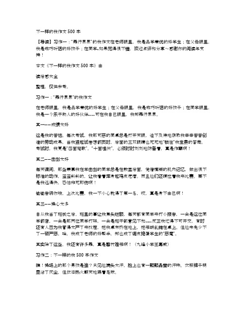 不一样的我作文500字