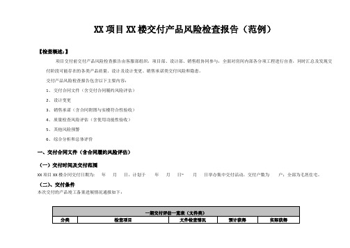 交付产品风险检查报告