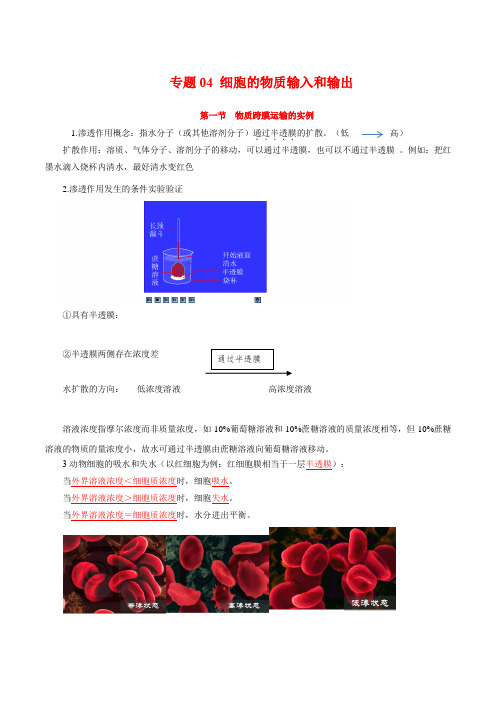 专题04 细胞的物质输入和输出-高考生物一轮复习知识点梳理与归纳