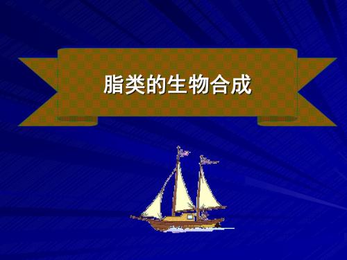 脂类的生物合成生科-文档资料