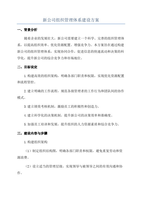 新公司组织管理体系建设方案