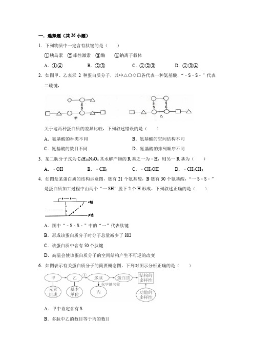 蛋白质习题