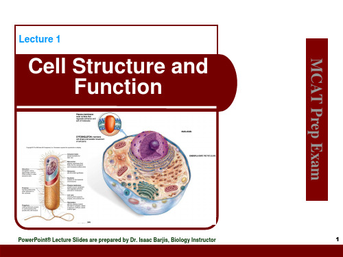 Cell Structure and Function[细胞结构和功能 ](-84)