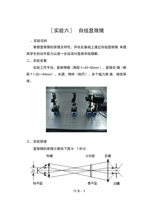 试验六自组显微镜