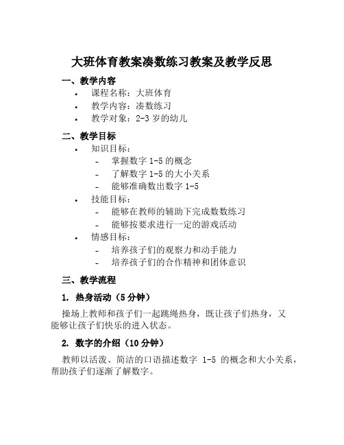 大班体育教案凑数练习教案及教学反思