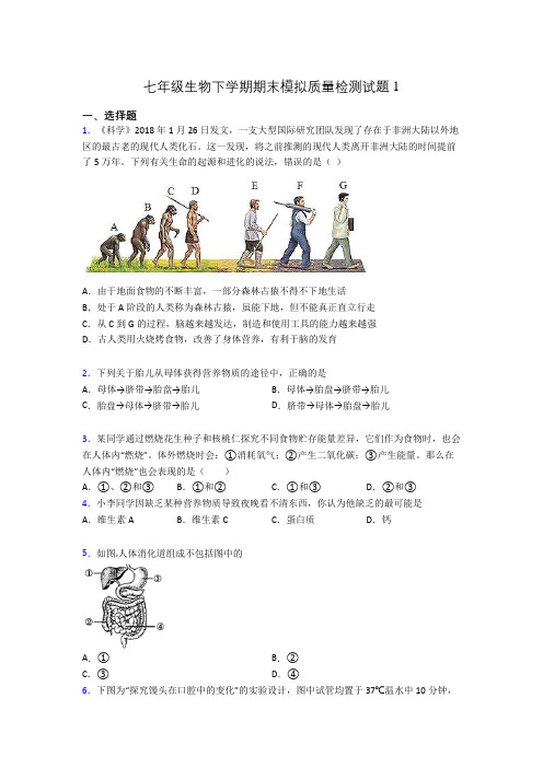 七年级生物下学期期末模拟质量检测试题1