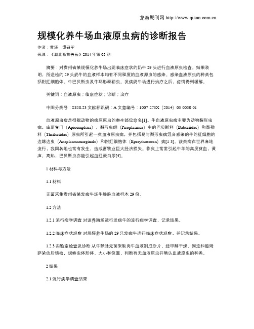 规模化养牛场血液原虫病的诊断报告