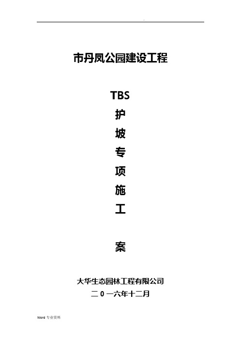 TBS护坡专项方案