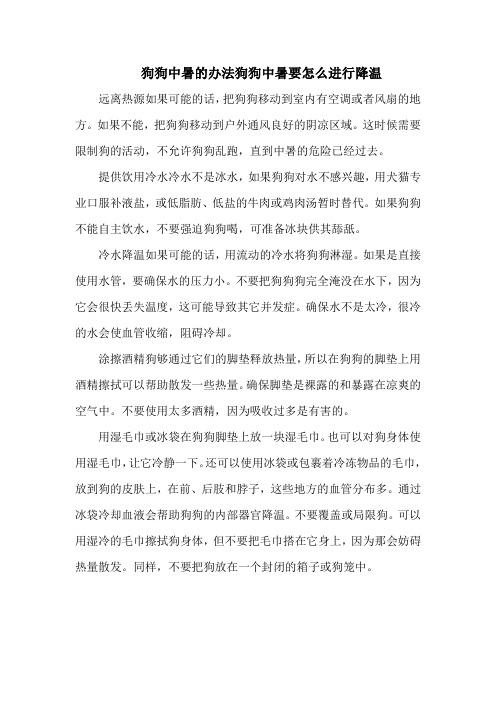 狗狗中暑的办法狗狗中暑要怎么进行降温