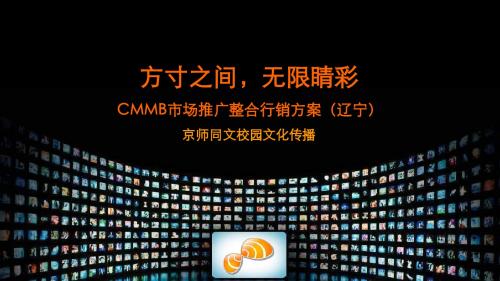 CMMB业务推广营销方案