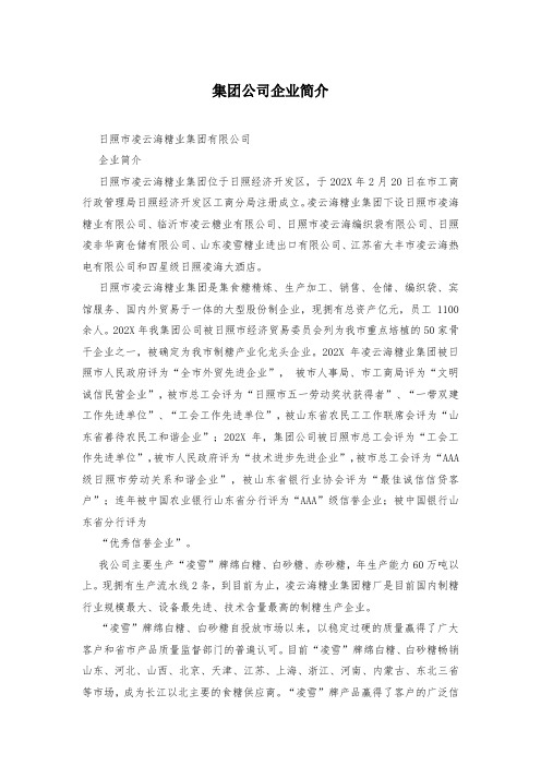 集团公司企业简介