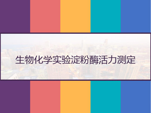 生物化学实验淀粉酶活力测定 PPT