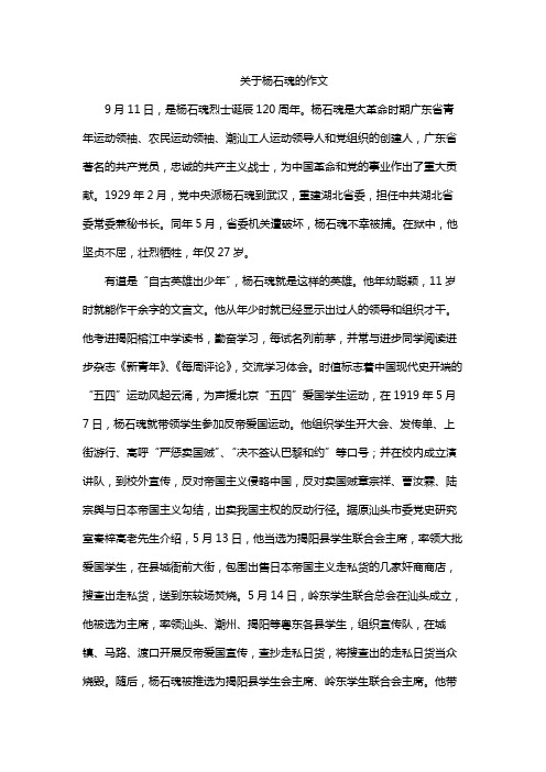 关于杨石魂的作文