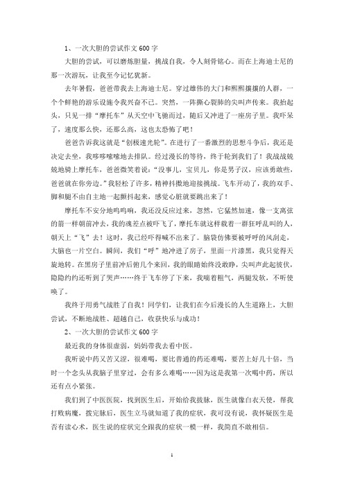 精选一次大胆的尝试作文600字