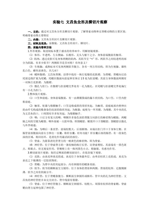 文昌鱼